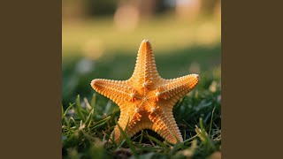 Dunia Ke Gema Api Kembali