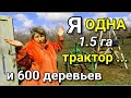 С неё нужно брать пример! Одна женщина ухаживает за участком 1.5 га, где посажено 600 деревьев.