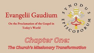 Evangelii Gaudium - Chapter 1 The Church&#39;s Missionary Transformation