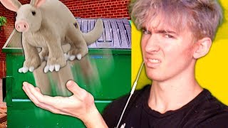 Albert plays WEBKINZ