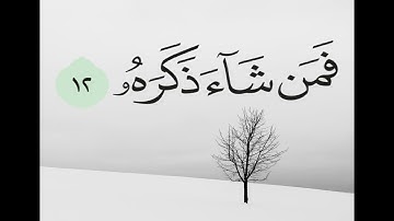 سورة عبس كاملة وسورة النازعات إلى الآية 13 قراءة وتجويد
