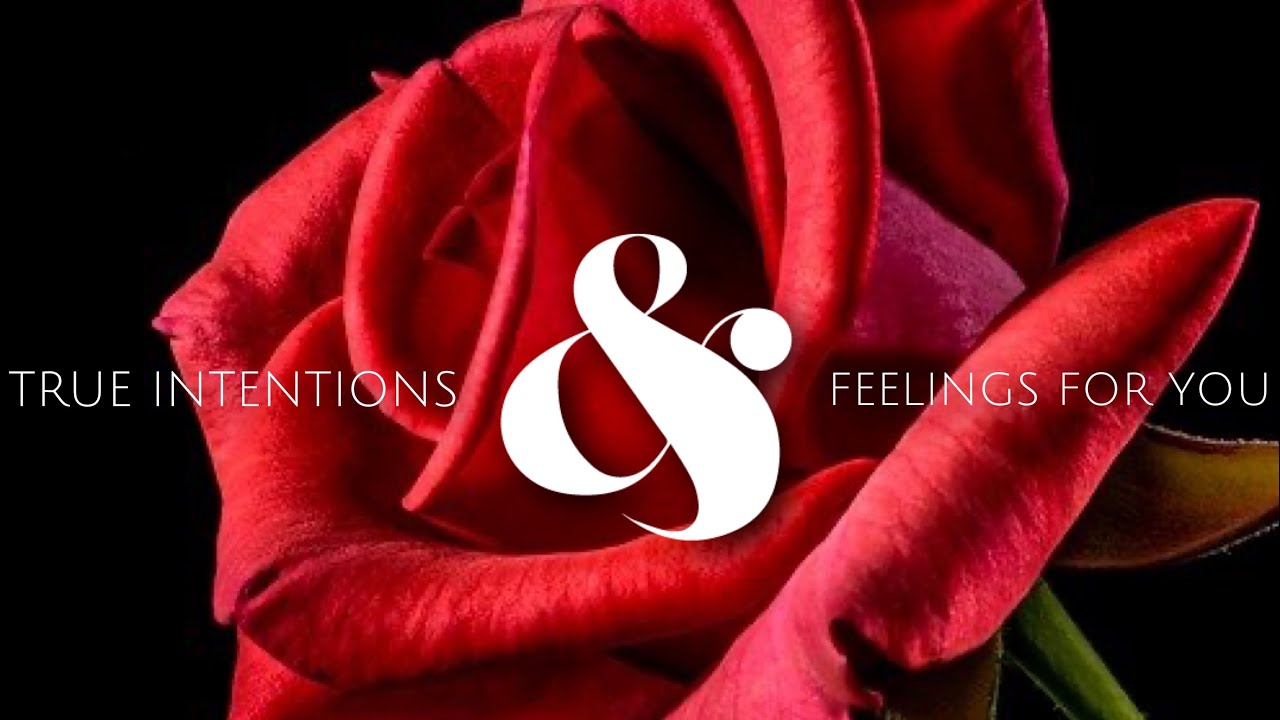 ✨Pisces✨ Realizing How Much They Hurt You... &Wanting To Make Things Right