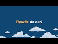 Pilotul HiSky Verginia Rusanovschi - despre tipurile de nori