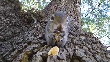 Replace FEAR of the unknown with CURIOSITY