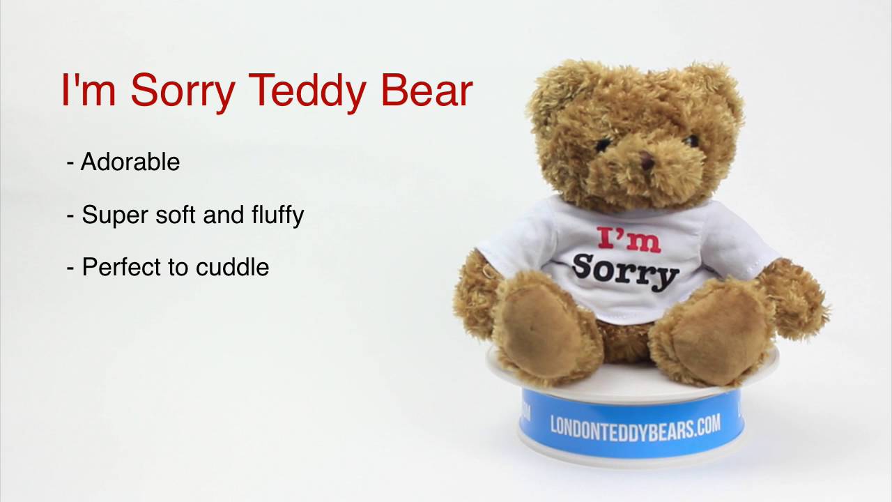 I m teddy bear. Тедди сорри. Медвежонок sorry. Sorry with Teddy. Мишка sorry игрушка.