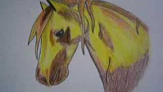 My Drawing Of Yellow Bella Sara