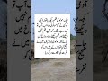 ایک مولوی فلم دیکھ رہا تھا دوسروں کو منع کرتا