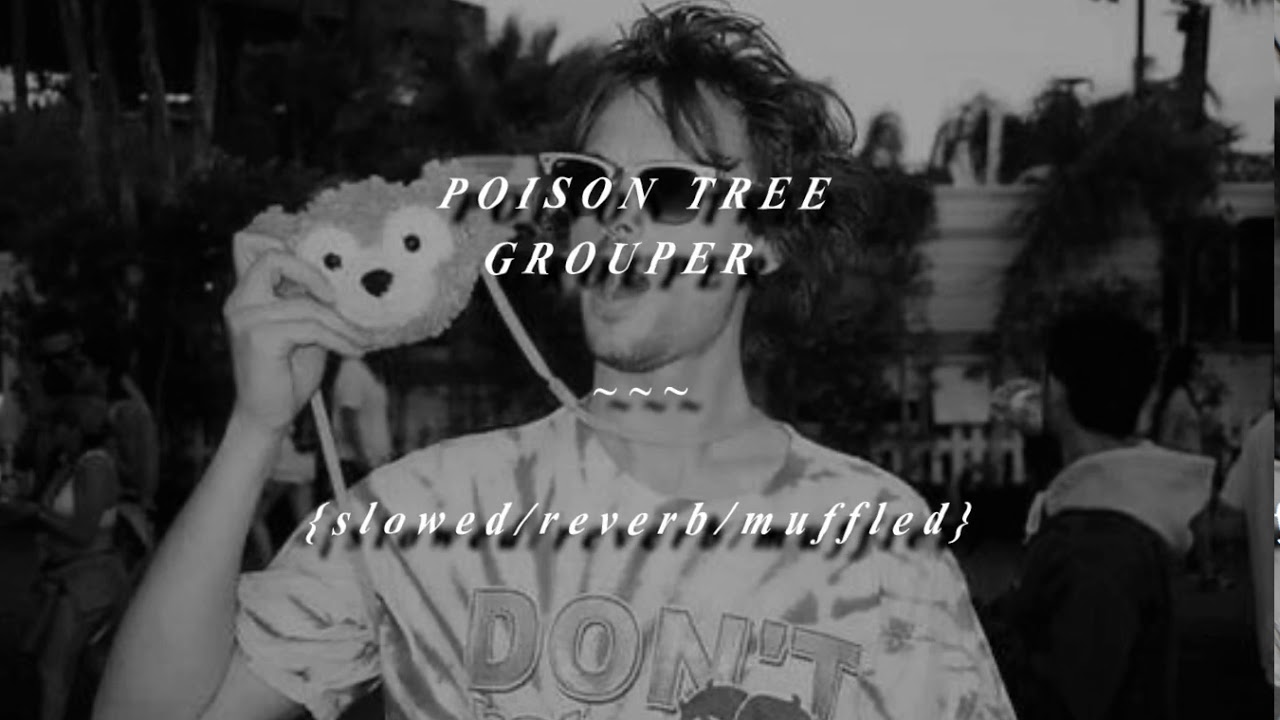 poison tree grouper (slowed/reverb/muffled) YouTube