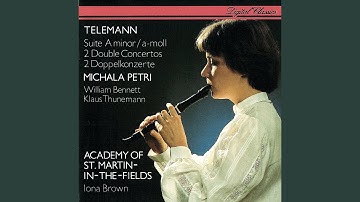 Telemann: Suite in A minor, for Recorder, Strings & Continuo, TWV 55:a2: Les plaisirs