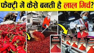 फकटर म लल मरच कस बनत ह? How Is Red Chilli Powder Made In Factory?