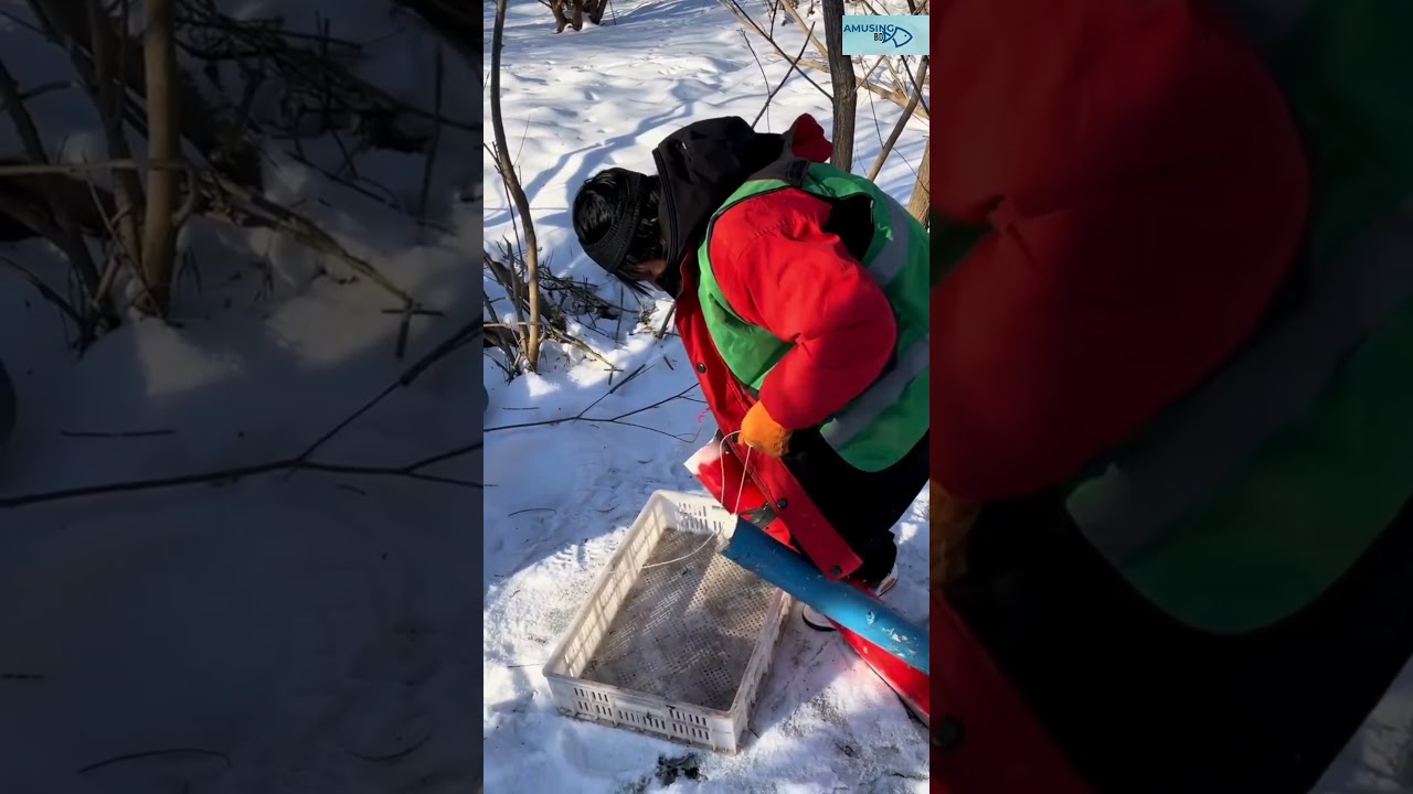 Unique fishing trap from ice in winter
