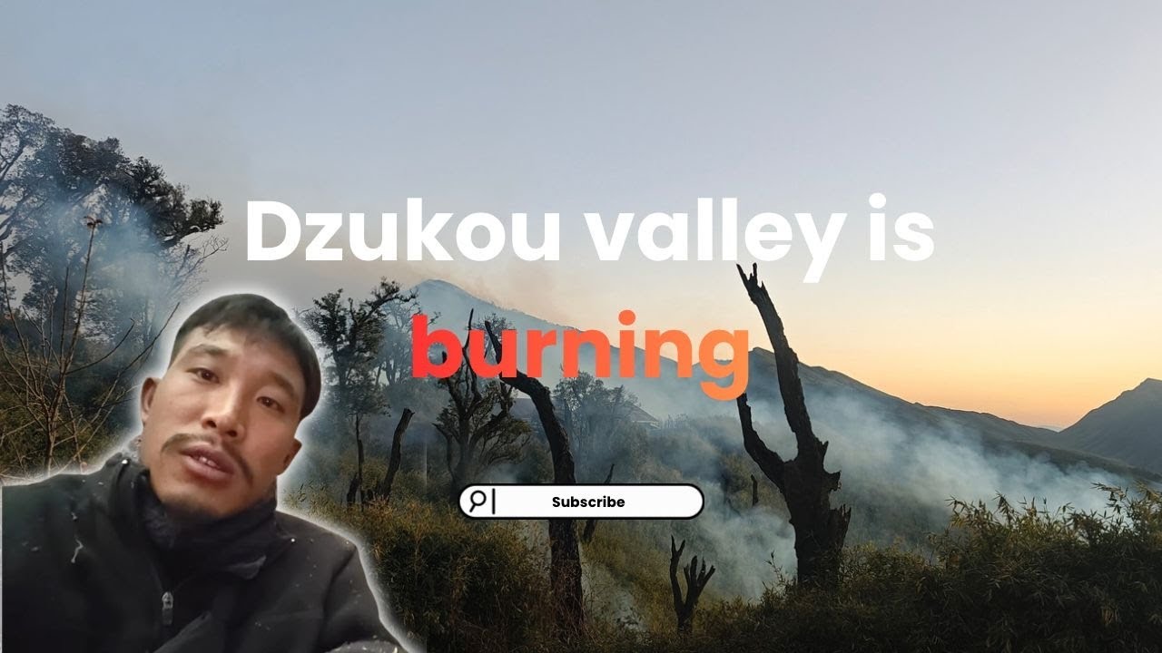 Dzukou valley is burning ll Nagaland ll Konyak tribe #farmers #wildlife #nagahills #rural