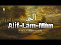 Alif lam mim complet     surah albaqra heart touching recitation  only quran tv