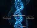 DNA Walkie‑Talkie: Molecular Messaging Breakthrough #shorts