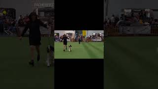 Christmas Winner Show In Karlsruhe 