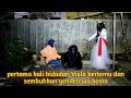 Download Lagu Pertama kali bidadari Viola bertemu dan bantu pulihkan genderewo kemo