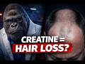 Does Creatine Cause Hair Loss? What Studies Actually Show