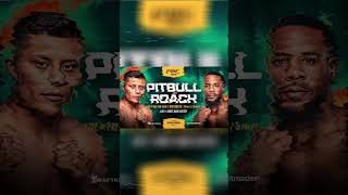 Isaac “Pitbull” Cruz and  Lamont Roach Jr will face off for the Interim WBC Super LW title. #boxing