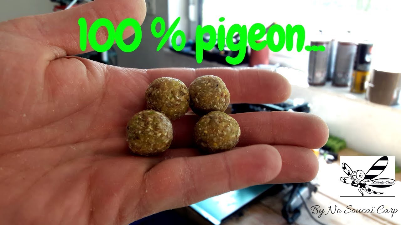 100% pigeon :-)
