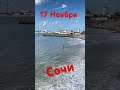 Сочи. 17 ноября, люди купаются вода +18, воздух +17