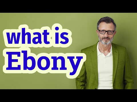 Ebony | Definition of ebony