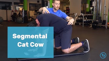 How to do a Segmental Cat Cow