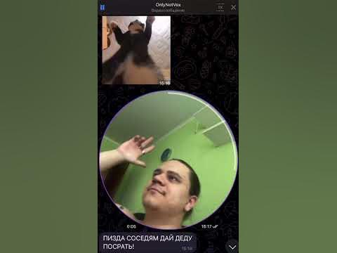Любой тг чат с другом #shorts #tiktok - YouTube