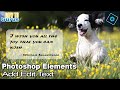 Adobe Photoshop Elements Add and Edit Text Tutorial for Beginners