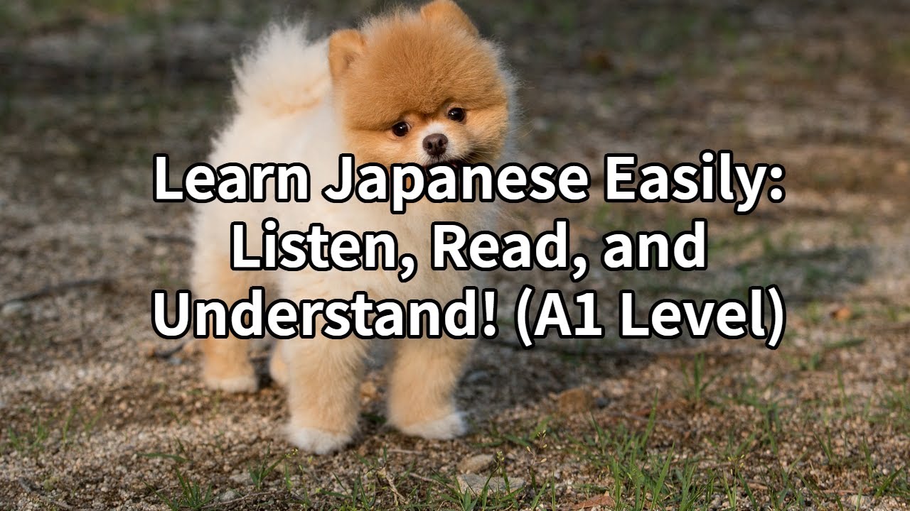 Learn Japanese Easily: Listen, Read, and Understand! (A1 Level) - YouTube