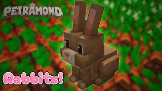 DEVLOG: Petramond Rabbit Update