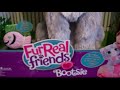 FurReal Bootsie Review - Angry Cat Alert
