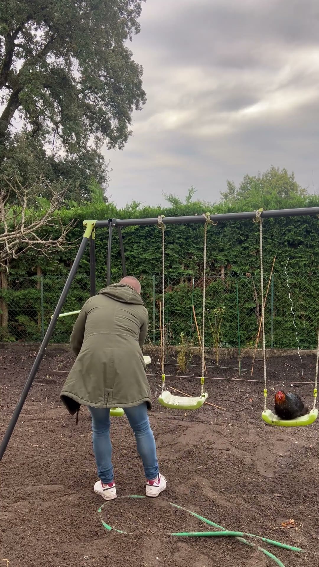 Man Pushes Chickens On Playground Swings || ViralHog