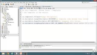 Framework  Java Server Faces Demo parte 2