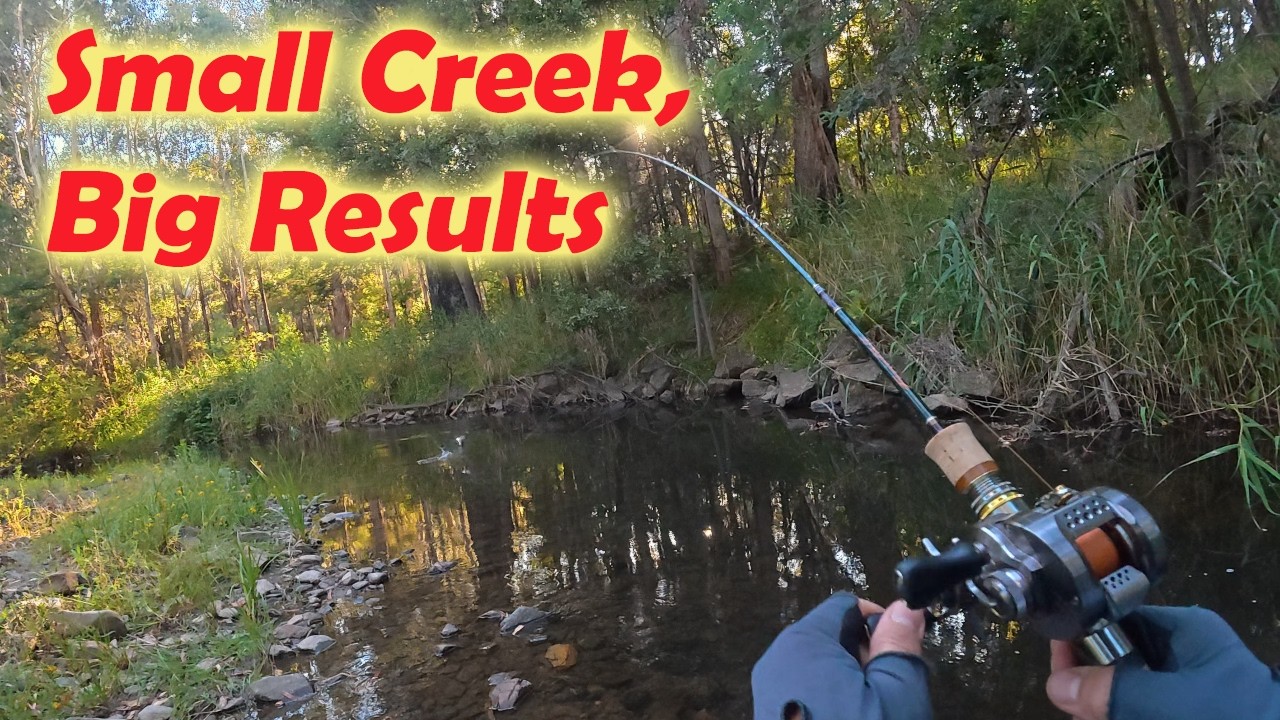 Small Creek, Big Results: The 