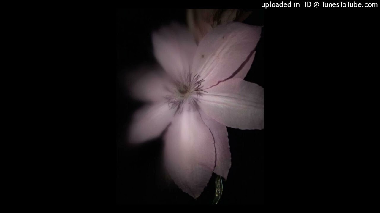 [free] redda x lovemusic x new planet type beat 