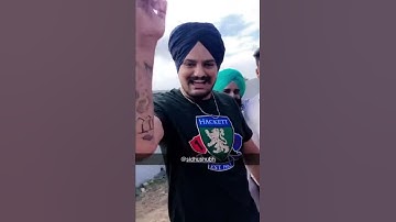 Thapi sidhu moosewala 5911 records