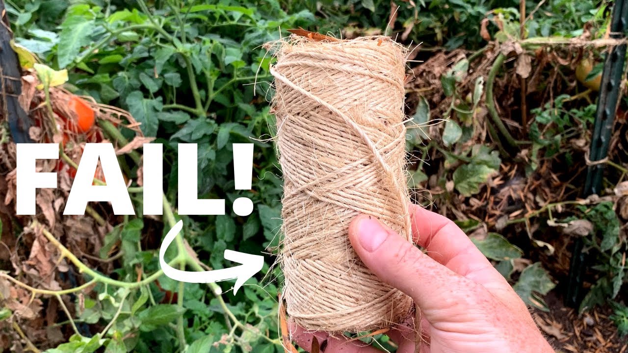 How To Use Trellis For Tomatoes Andie's Way Arched Tomato Trellis