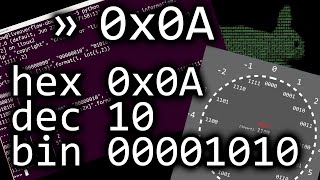 The deal with numbers: hexadecimal, binary and decimals - bin 0x0A screenshot 2