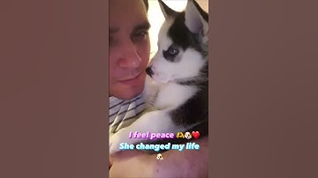 PERFECT DUO 👌 #dogowner #dog #funny #fun #love #like #cute #amor #reels #video #music #shorts #lol