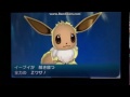 未進化ポケモン3匹で伝説・幻のポケモン6匹に勝つ