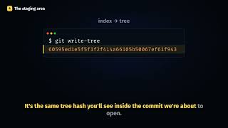 A Git Branch Is a 41-Byte File: How Git Actually Works