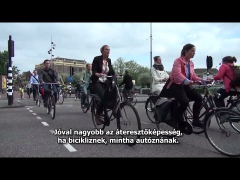 Biciklis történetek Amszterdamból