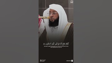 تلاوة بديعة للشيخ بدر التركي