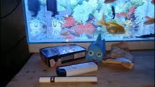 Mendung kesapu angin cover abah lala