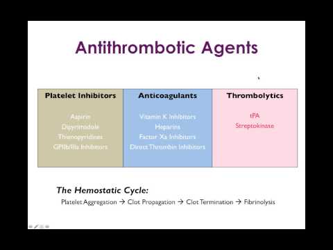 Cardiovascular Pharmacology Review: Mechanisms