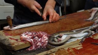 How To Kill and Clean Japanese LIVE EEL