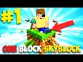 LA SKYBLOCK SU MINECRAFT CON UN BLOCCO SOLO !!