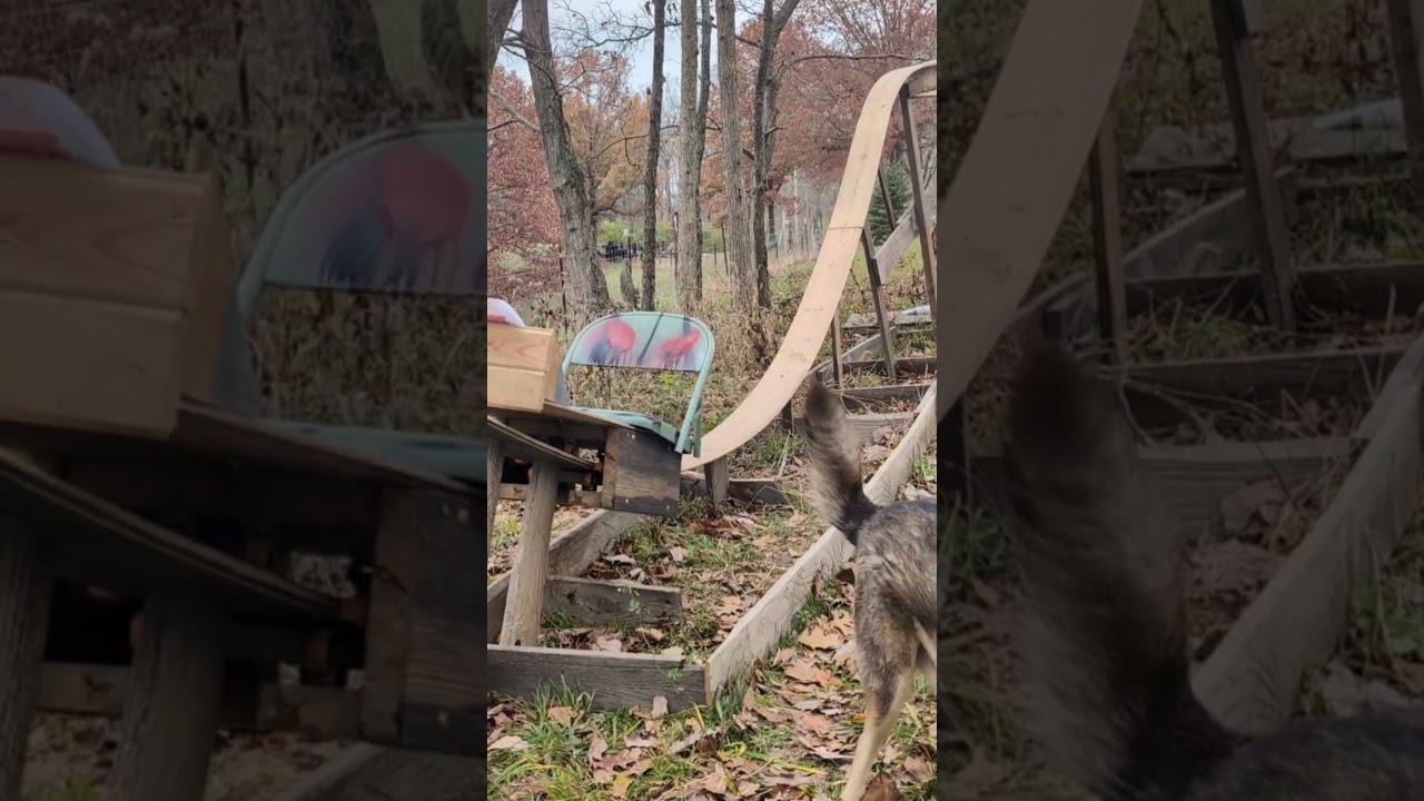 Mean Kashine! Go subscribe to BuildACoast for updates on this backyard roller coaster! #meankashine