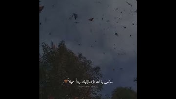 قرآن كريم بصوت عبدالرحمن مسعد | حالات واتس اب دينية - سورة الحجرات