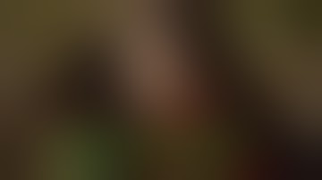 映画『ボインのお宿 熟女大宴会！』予告編